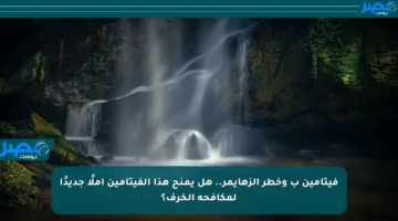 فيتامين ب وخطر ألزهايمر.. هل يمنح هذا الفيتامين أملًا جديدًا لمكافحة الخرف؟